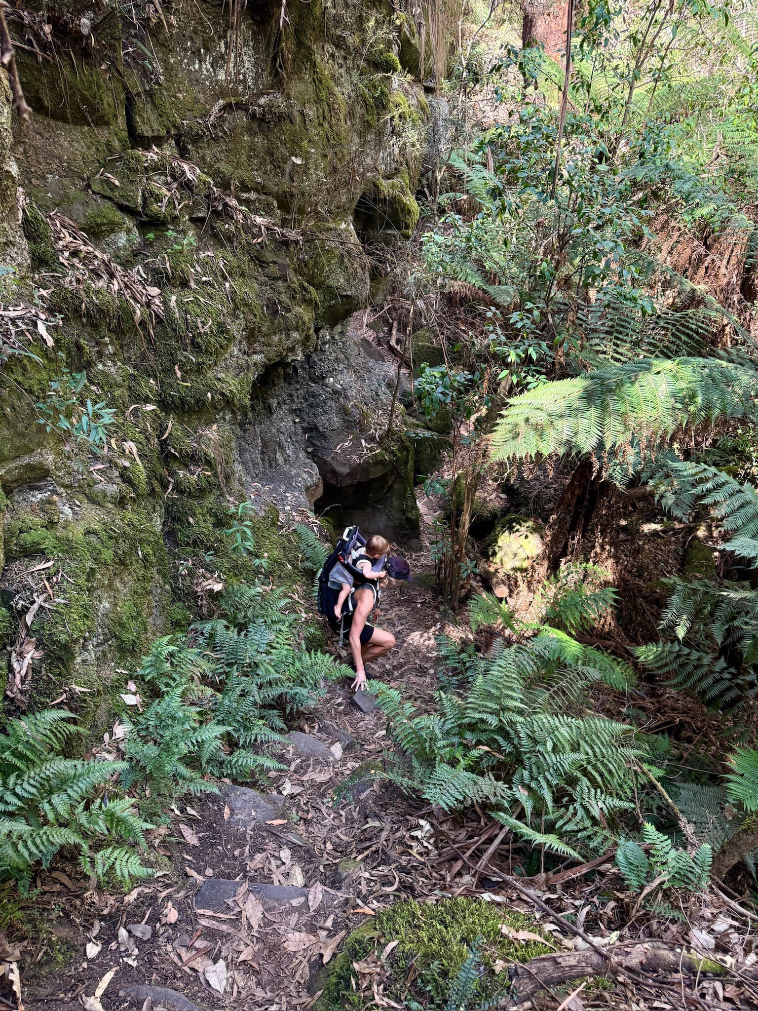 Hiking With a Baby: Realistic Tips, Safety Essentials, and Must-Have Gear